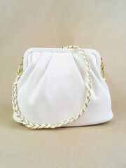 A beautiful women's bag stands on a paper background.