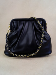 A beautiful women's bag stands on a paper background.