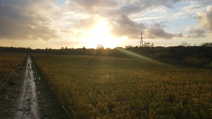 Obraz premium default