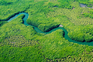 Ecosystem and Healthy Environment. Concepts and Nature Background. Tropical Rainforest. Aerial Top View. 