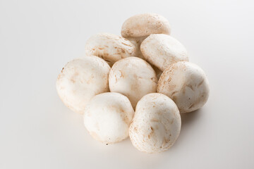 premium champignon mushrooms isolated