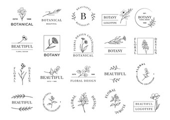 Botanical emblem. Minimalistic abstract logo with plant branches and flowers. Beautiful botany. Blossoms or leaves. Calligraphic icons. Blooming herbs. Vector floral rustic symbols set