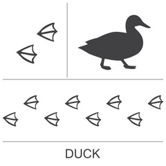 Duck silhouette and footprints. Vector illustration.