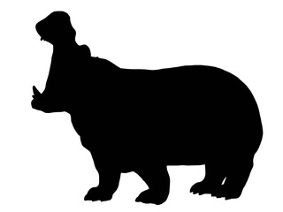 Silhouette of hippo isolated on white background 