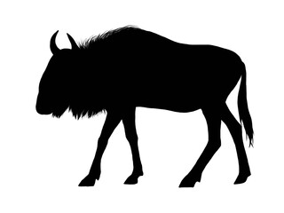 Silhouette of African gnu isolated on white 