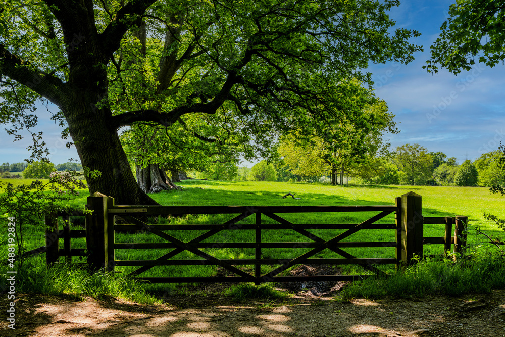 Sticker gate with field behind