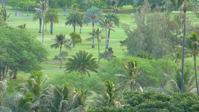 Time lapse video of tropical golf field in 4k
