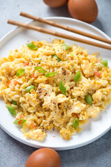 Close-up of a white plate with chinese egg fried rice, vertical shot, selective focus