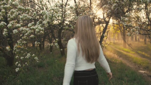 Attractive young woman in sweater, jeans is dance and spinning among blossom apple tree. Sunset, spring orchard and green field. Slow motion. Caucasian one girl, long fluttering hair. Sun glasses.
