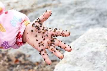 Child's hand in the sand, particles of shells and stones in the sand, dirty hands