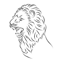 Lion head, statue. Vector antique logo. Ancient greek or roman style elements. Contour lion head with mane isolated on white background. Hand drawing of lion's head in antique style. Line art