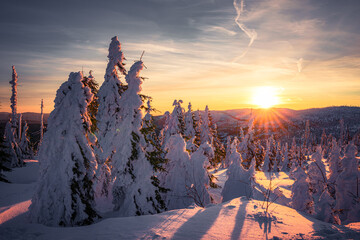 Sunrise and snow in winter Dreisesselberg on the border of Germany with the Czech Republic,...