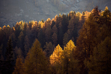 autumn in the mountains