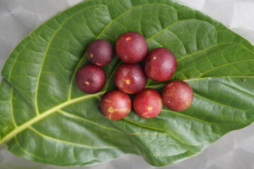 Camu camu fruits on a green leaf. (Myrciaria dubia), Myrtaceae family. Amazon, Brazil.