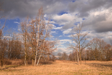 february landscapes without snow with windy weather and trees without leaves