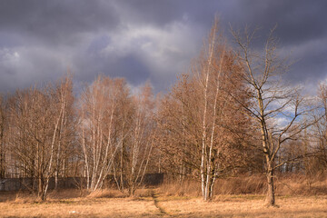 february landscapes without snow with windy weather and trees without leaves