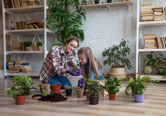 A young mother and daughter take care of flowers. Care of indoor plants.