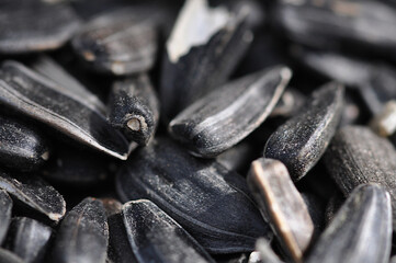 seeds