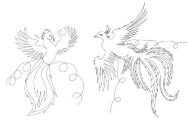 phoenix bird one line drawing, outline, vector