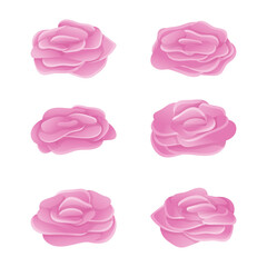 Vector set of pink rose buds.