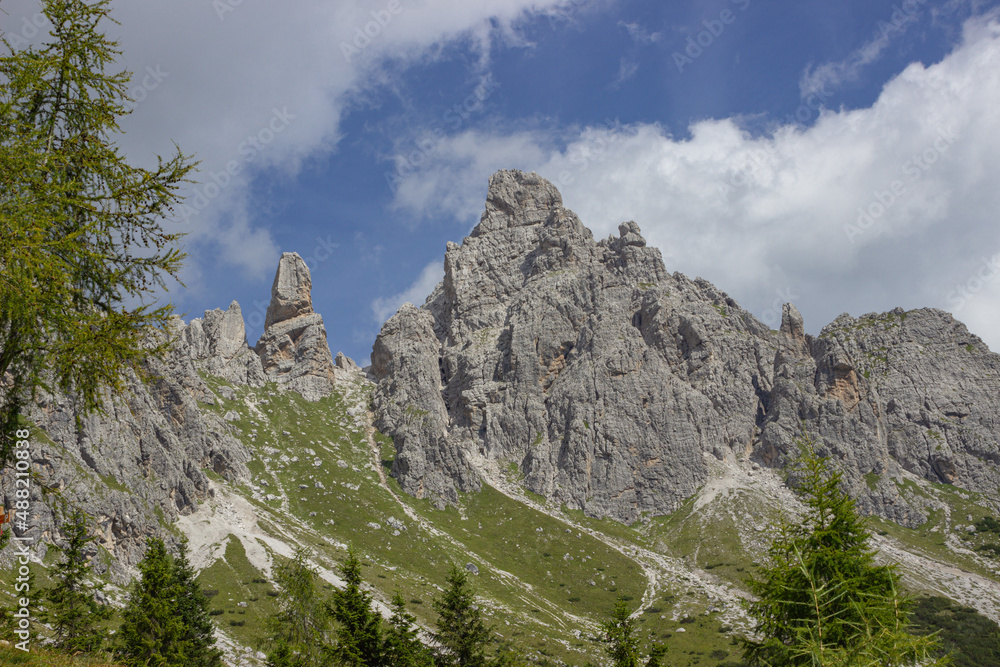 Wall mural Mountain summer landscape. View of the rocks and larch tops against the sky with white clouds. Travel and adventure concept. To use as a background. Cadore, Italy.