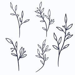 hand drawn decorative flower and leaves collection