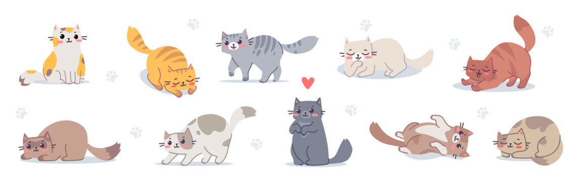 Naklejki Vector set of illustration with happy cute different cat character on white color background. Flat line art style design of group of animal cat in different pose