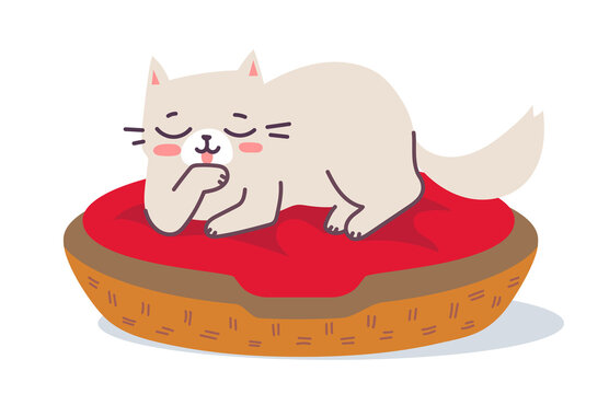 Vector illustration of lying happy cat character on red pillow in basket on white color background. Flat line art style design of cleaning and relaxing cute animal cat