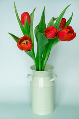 a bouquet of red tulips in an iron jar, on a light background