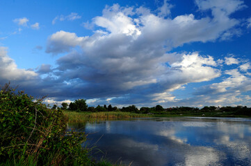 Wetland / Pond on the Croatian Island of Pag // Feuchtgebiet / Teich auf der Kroatischen Insel Pag