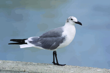 A seagull resting by the sea