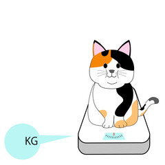 A fat calico cat on a scale with a white background