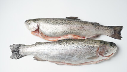 Fresh trout on a table. Healthy seafood and dieting concept.