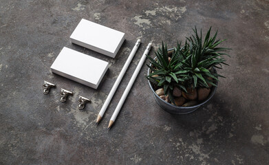 Blank stationery and succulent plant on concrete background. Branding mock up for designers...