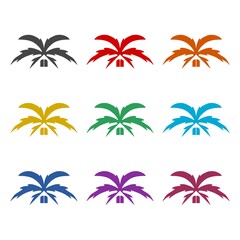 Roof from palm tree leaves icon or logo, color set