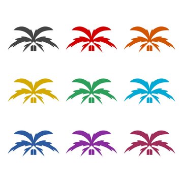 Roof from palm tree leaves icon or logo, color set