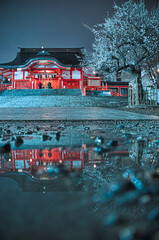 雨の歌舞伎町
