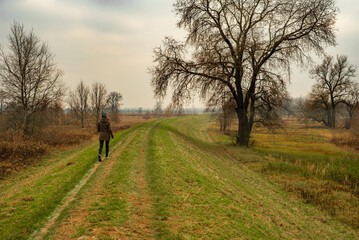 Nordic walking - a woman who walks along a flood embankment