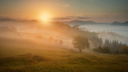 Naklejka na ściany i meble Sunrise in the village of Dzembronya. Carpathians .Ukraine