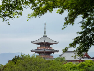 Obraz premium Overcast view of the famous Kiyomizu dera Temple