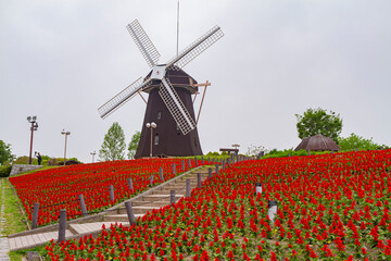 Overcast view of the Flower Expo Memorial Park