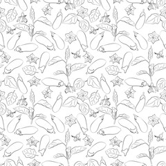Vector pattern drawn strokes is seamless with set of eggplants in different positions, sliced, whole, eggplant leaves. Farm.
