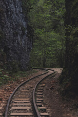 A railroad track leading into the forest. Narrow gauge railway in the guam gorge.