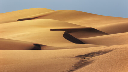 Maspalomas dunes, nature reserve on the island of Gran Canaria, Spain