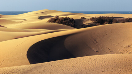 Maspalomas dunes, nature reserve on the island of Gran Canaria, Spain