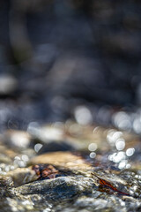 water with bokeh 2