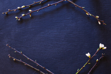 Bird eye top view picture of a black stone background with blooming spring branches 