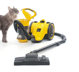 Vacuum cleaner and curious cat on white background