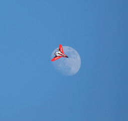 red airplane over moon and blue sky