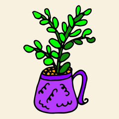 Hand drawn colorfull  succulent outline icon in doodle style. Vector liner illustration for print, web, mobile and infographics isolated on white background.  